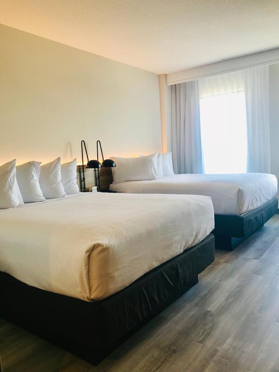Wyndham Garden Ft Lauderdale Airport & Cruise Port Otel Dania Beach Dış mekan fotoğraf